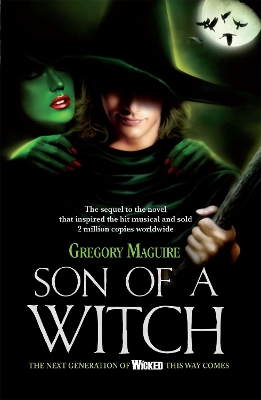 Son of a Witch book
