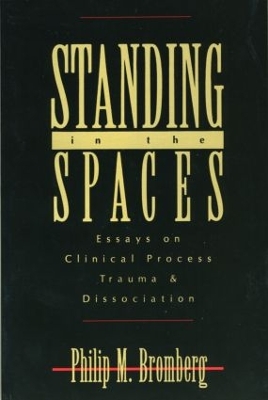 Standing in the Spaces book