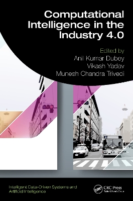 Computational Intelligence in the Industry 4.0 book