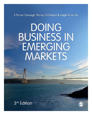 Doing Business in Emerging Markets book