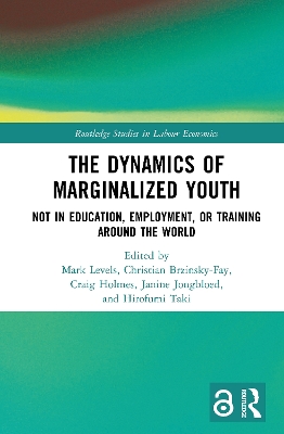 The Dynamics of Marginalized Youth: Not in Education, Employment, or Training Around the World book