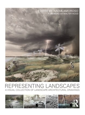 Representing Landscapes book