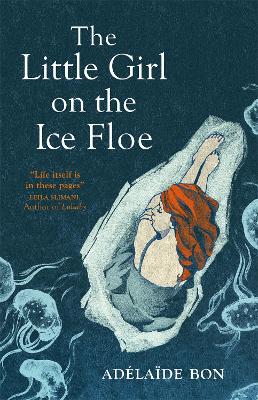The Little Girl on the Ice Floe book