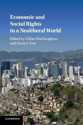 Economic and Social Rights in a Neoliberal World by Gillian MacNaughton