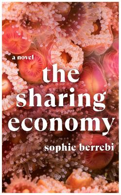 The Sharing Economy book