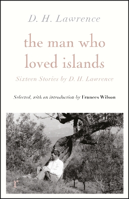 The Man Who Loved Islands: Sixteen Stories (riverrun editions) by D H Lawrence book