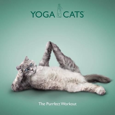 Yoga Cats book
