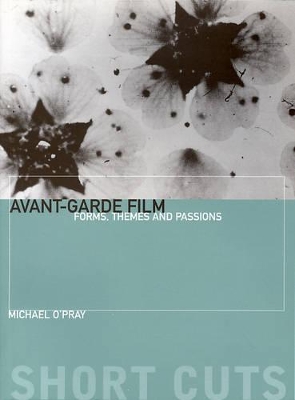 Avant-Garde Film book