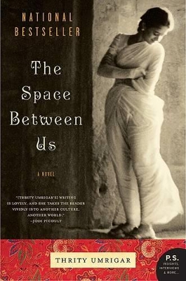 The Space Between Us by Thrity Umrigar