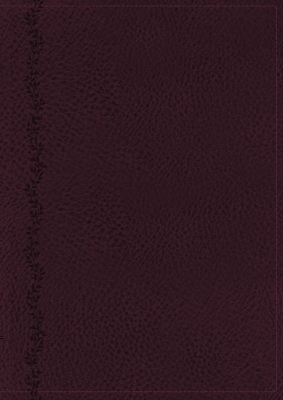 The NKJV, Vines Expository Bible, Leathersoft, Purple, Comfort Print: A Guided Journey Through the Scriptures with Pastor Jerry Vines book