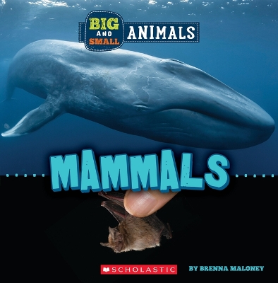 Mammals (Wild World: Big and Small Animals) book