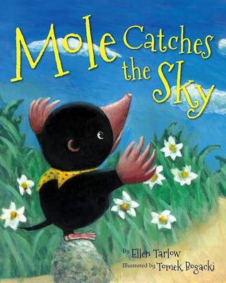 Mole Catches the Sky book