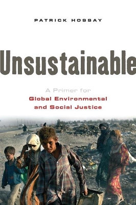 Unsustainable book