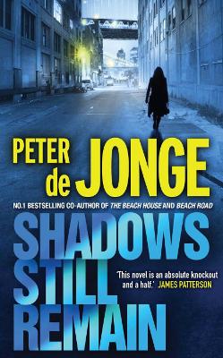 Shadows Still Remain book