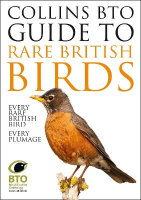 Collins BTO Guide to Rare British Birds by Paul Sterry