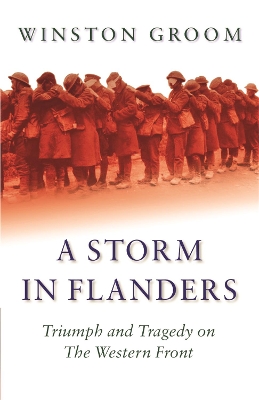 Storm in Flanders book