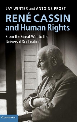 René Cassin and Human Rights: From the Great War to the Universal Declaration book