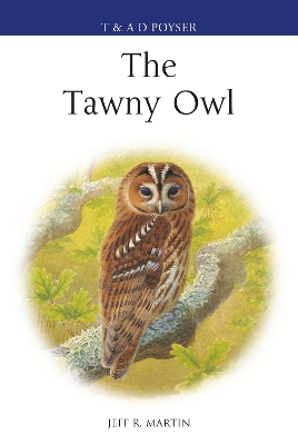 The Tawny Owl by Mr Jeff Martin