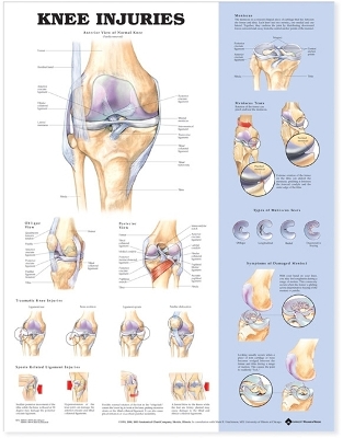 Knee Injuries Anatomical Chart book