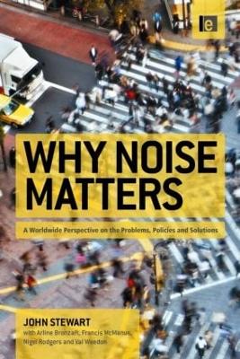 Why Noise Matters by John Stewart