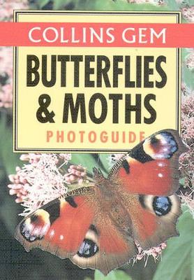 Butterflies and Moths by Michael Chinery