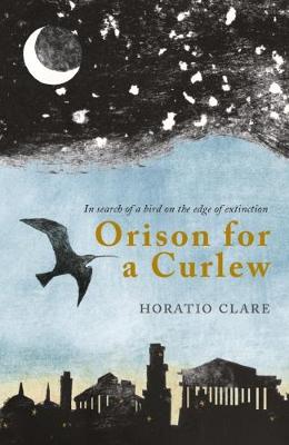 Orison for a Curlew book