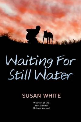 Waiting for Still Water book