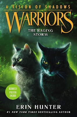 Warriors: A Vision of Shadows #6: The Raging Storm by Erin Hunter