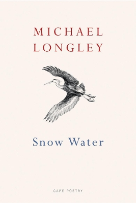 Snow Water by Michael Longley