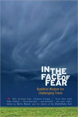 In The Face Of Fear book