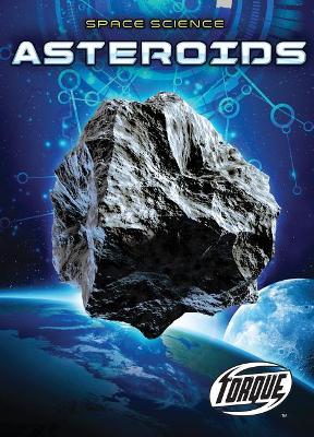 Asteroids book