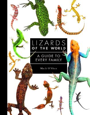 Lizards of the World: A Guide to Every Family by Mark O'Shea