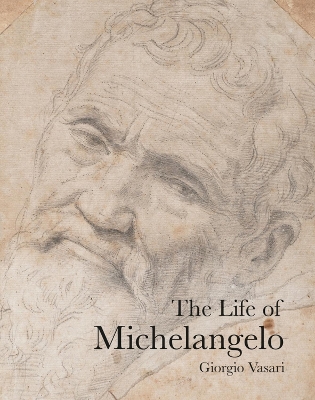 Life of Michelangelo book