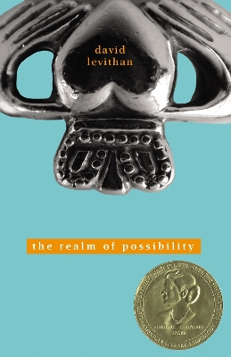 Realm of Possibility by David Levithan