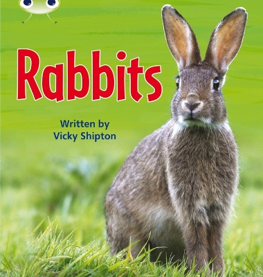 Bug Club Phonics Bug Non-fiction Set 27 Rabbits book
