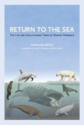 Return to the Sea book