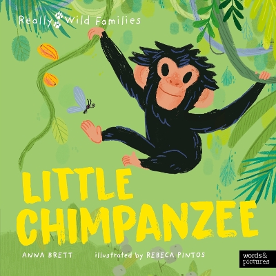 Little Chimpanzee: A Day in the Life of a Baby Chimp book