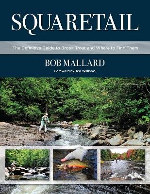 Squaretail: The Definitive Guide to Brook Trout and Where to Find Them book