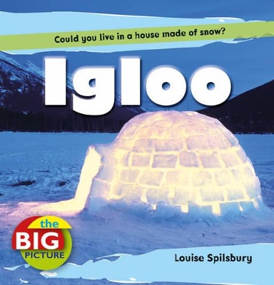 Igloo book