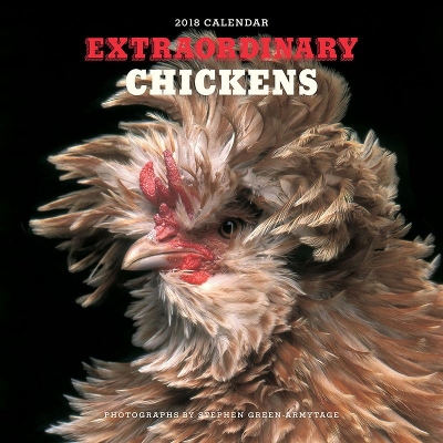 Extraordinary Chickens 2018 Wall Calendar by Stephen Green-Armytage