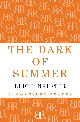 Dark of Summer book