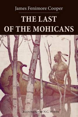 The Last of the Mohicans by N C Wyeth