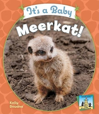 It's a Baby Meerkat! book