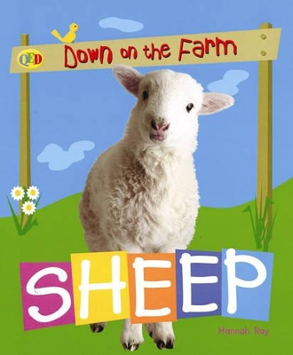 Sheep by Hannah Ray