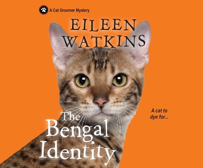 The The Bengal Identity by Eileen Watkins