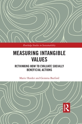 Measuring Intangible Values: Rethinking How to Evaluate Socially Beneficial Actions by Marie Harder
