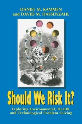 Should We Risk It? by Daniel M. Kammen