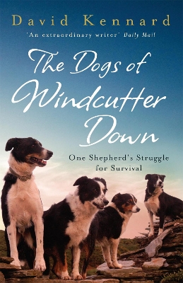 Dogs of Windcutter Down book