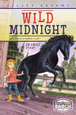 Wild Midnight: An Emily Story book