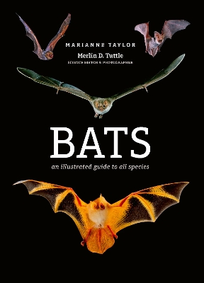 Bats: An illustrated guide to all species book